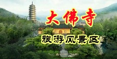 午夜少妇啪爽嗷嗷嗷视频中国浙江-新昌大佛寺旅游风景区